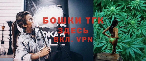 ешки Бронницы