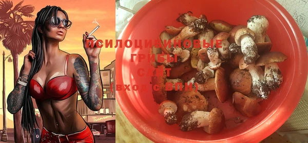 мдма Бородино