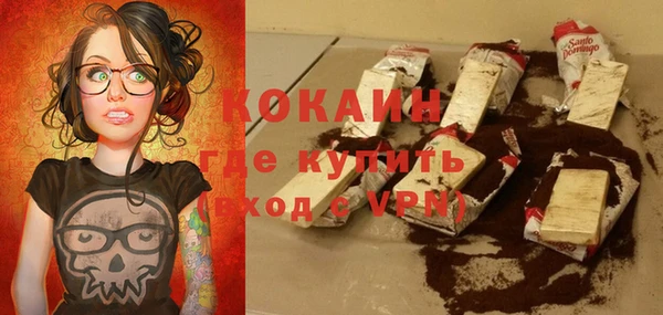 ешки Бронницы