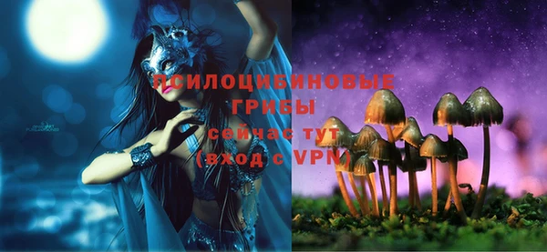 ешки Бронницы